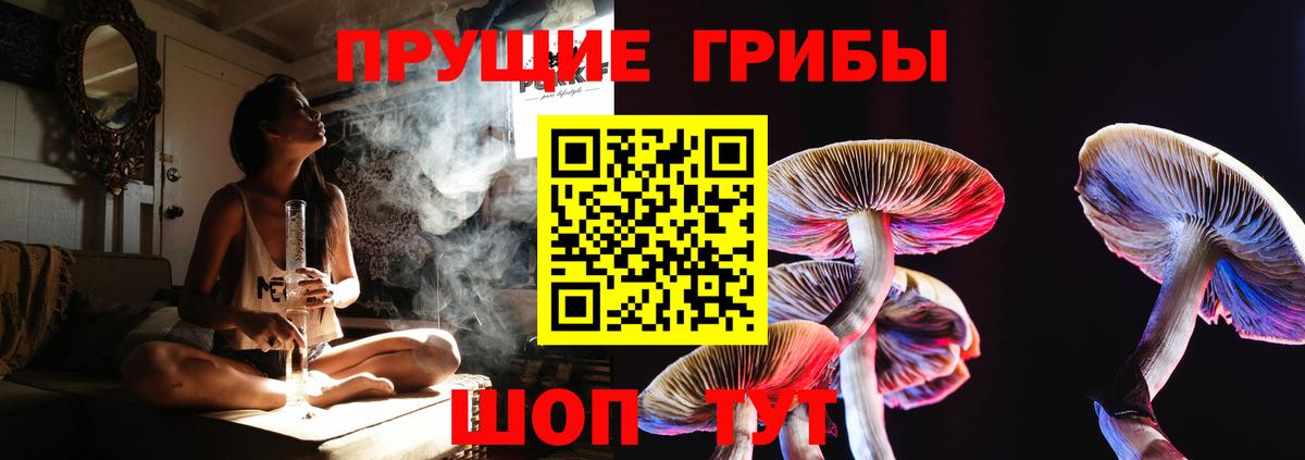 Тара  Галлюциногенные грибы ЛСД  Вход с VPN 