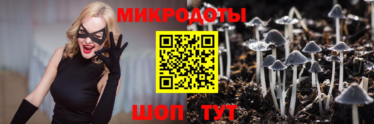 Псилоцибиновые грибы Magic Shrooms Тара